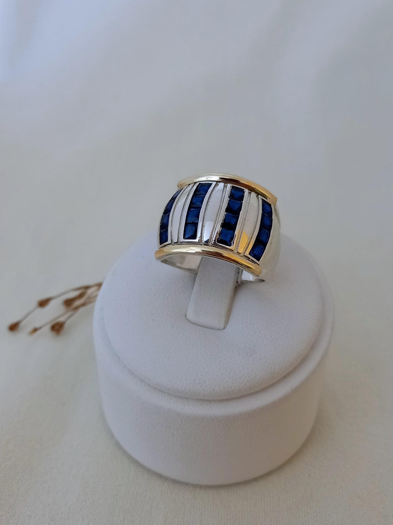 Anillo Vertical