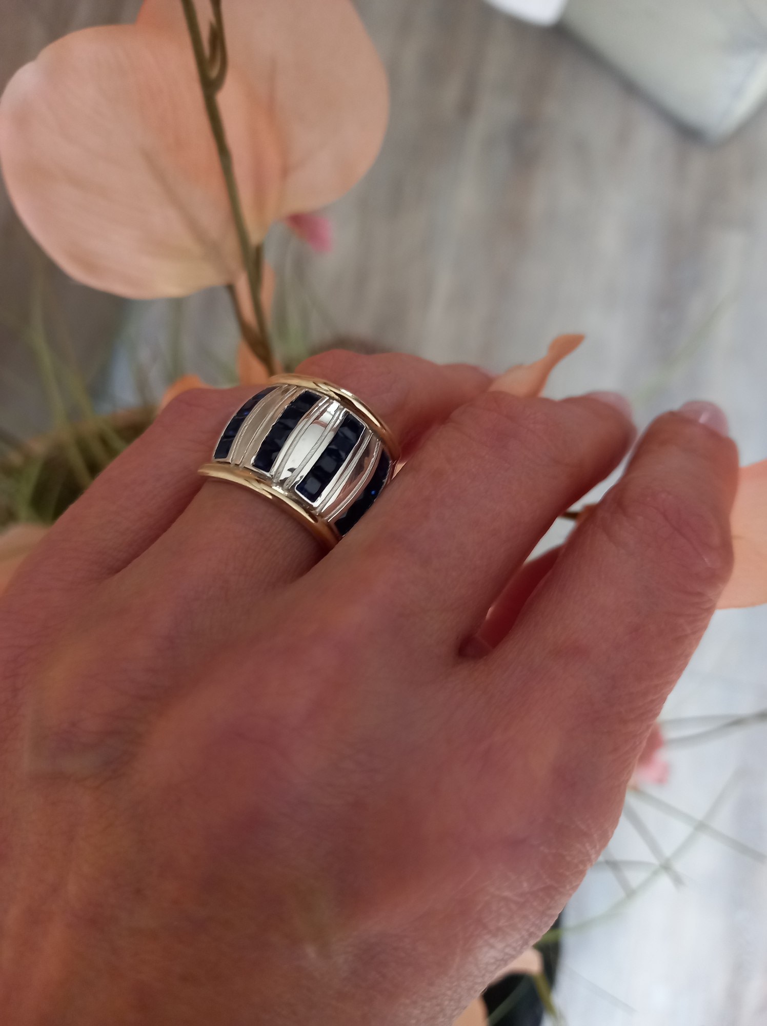 Anillo Vertical