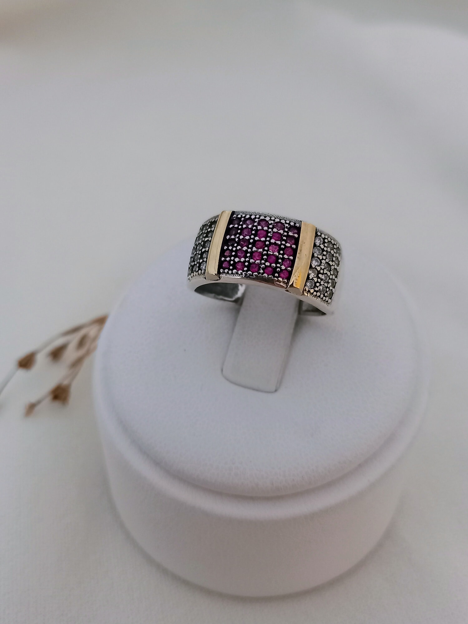 Anillo Marco
