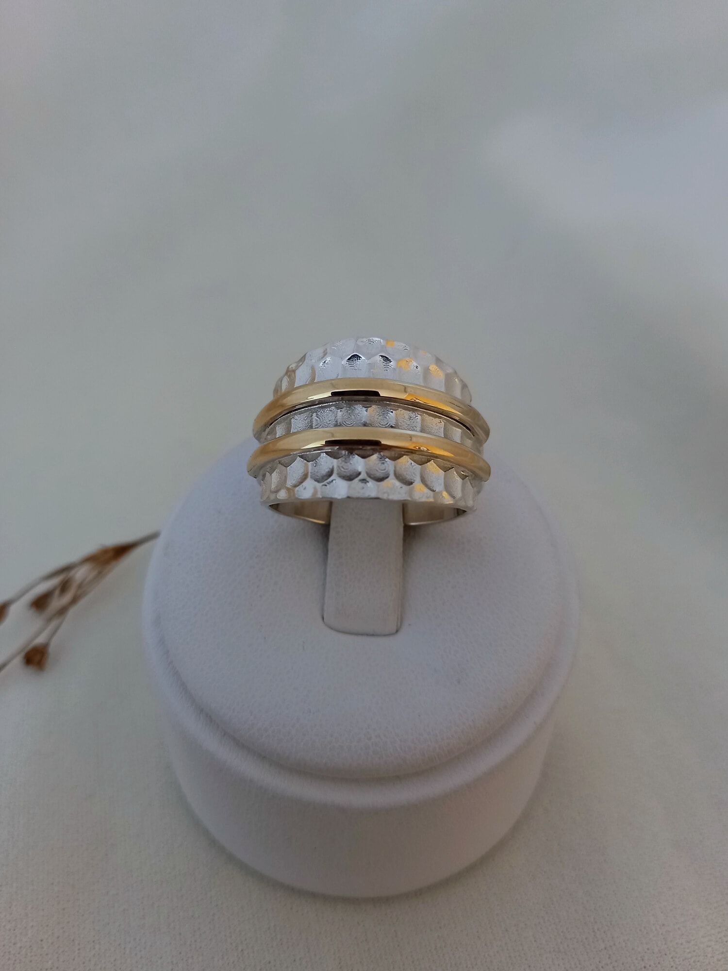 Anillo Arena