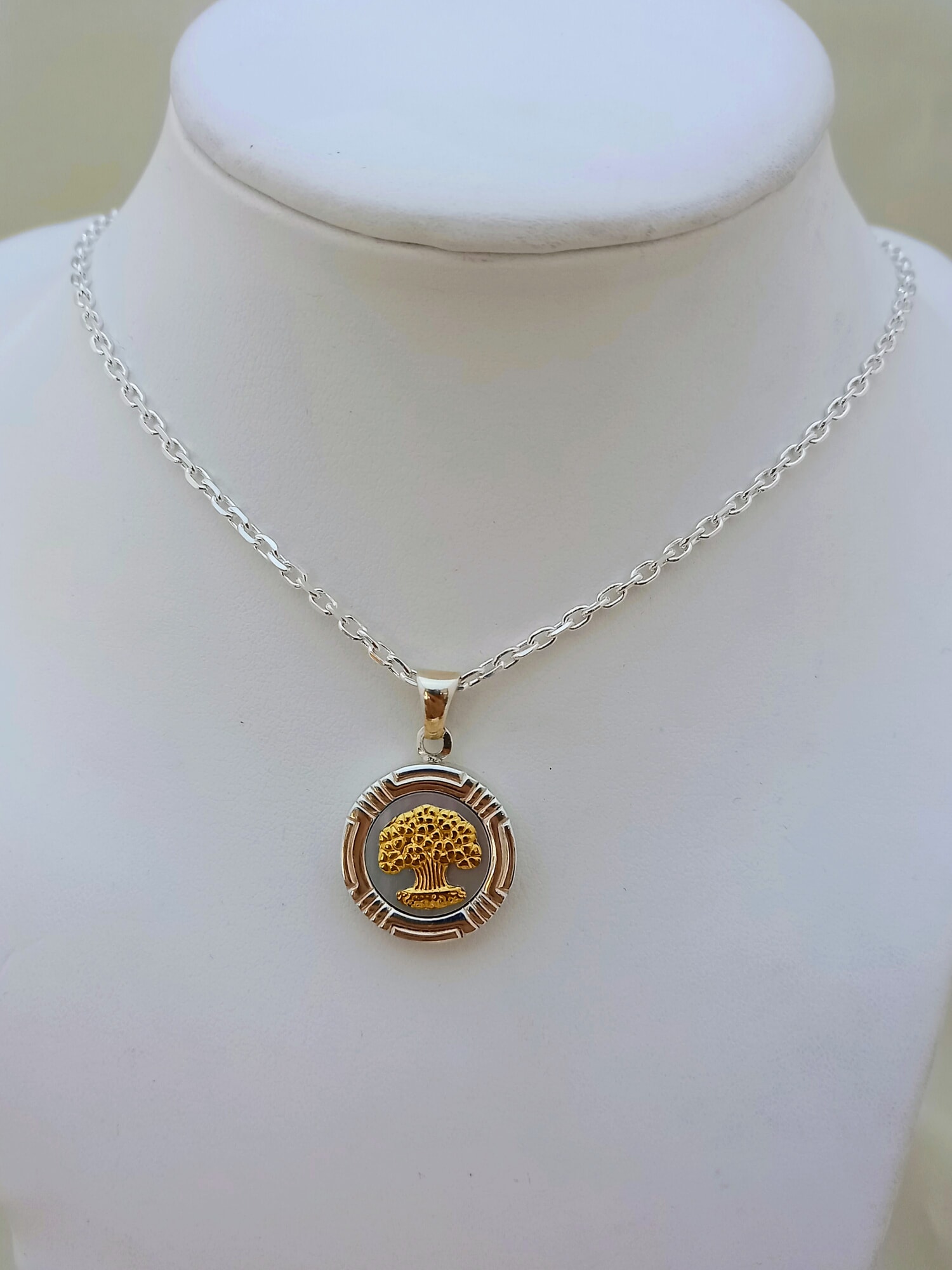 Conjunto Raíces chico