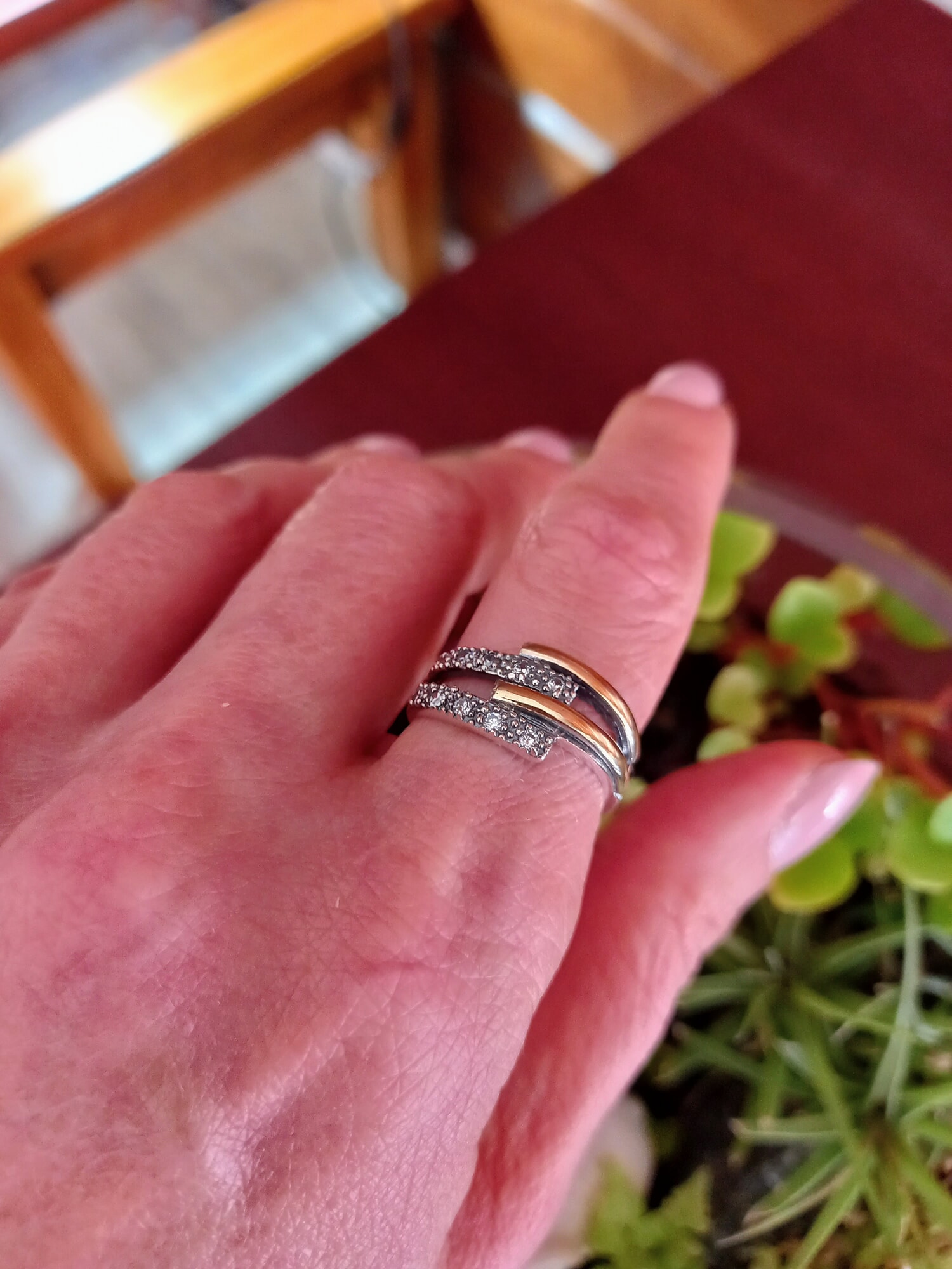 Anillo Enlace