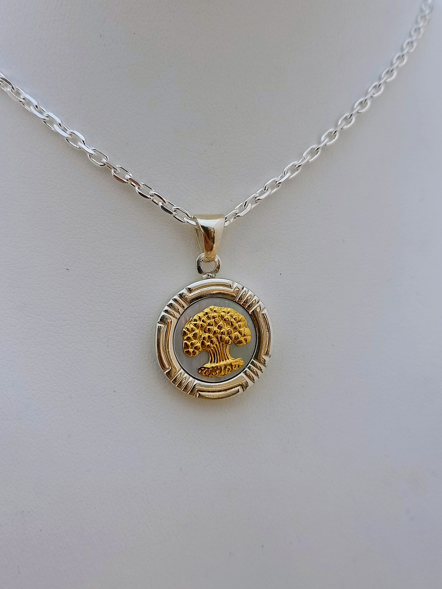 Conjunto Raíces chico