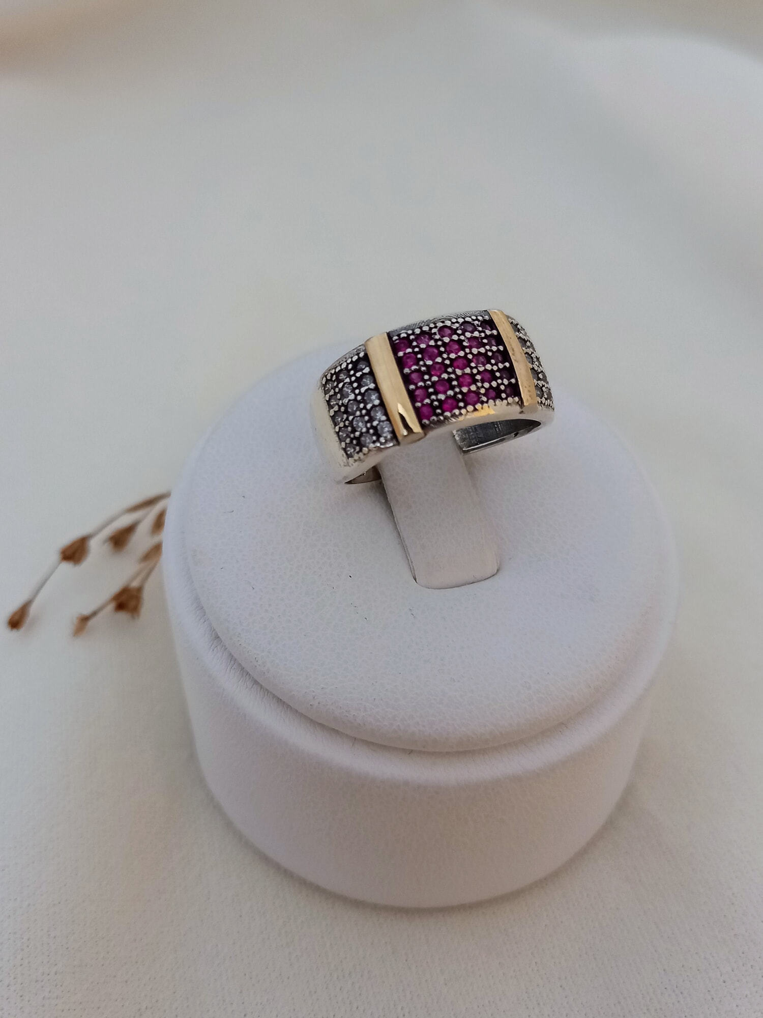 Anillo Marco