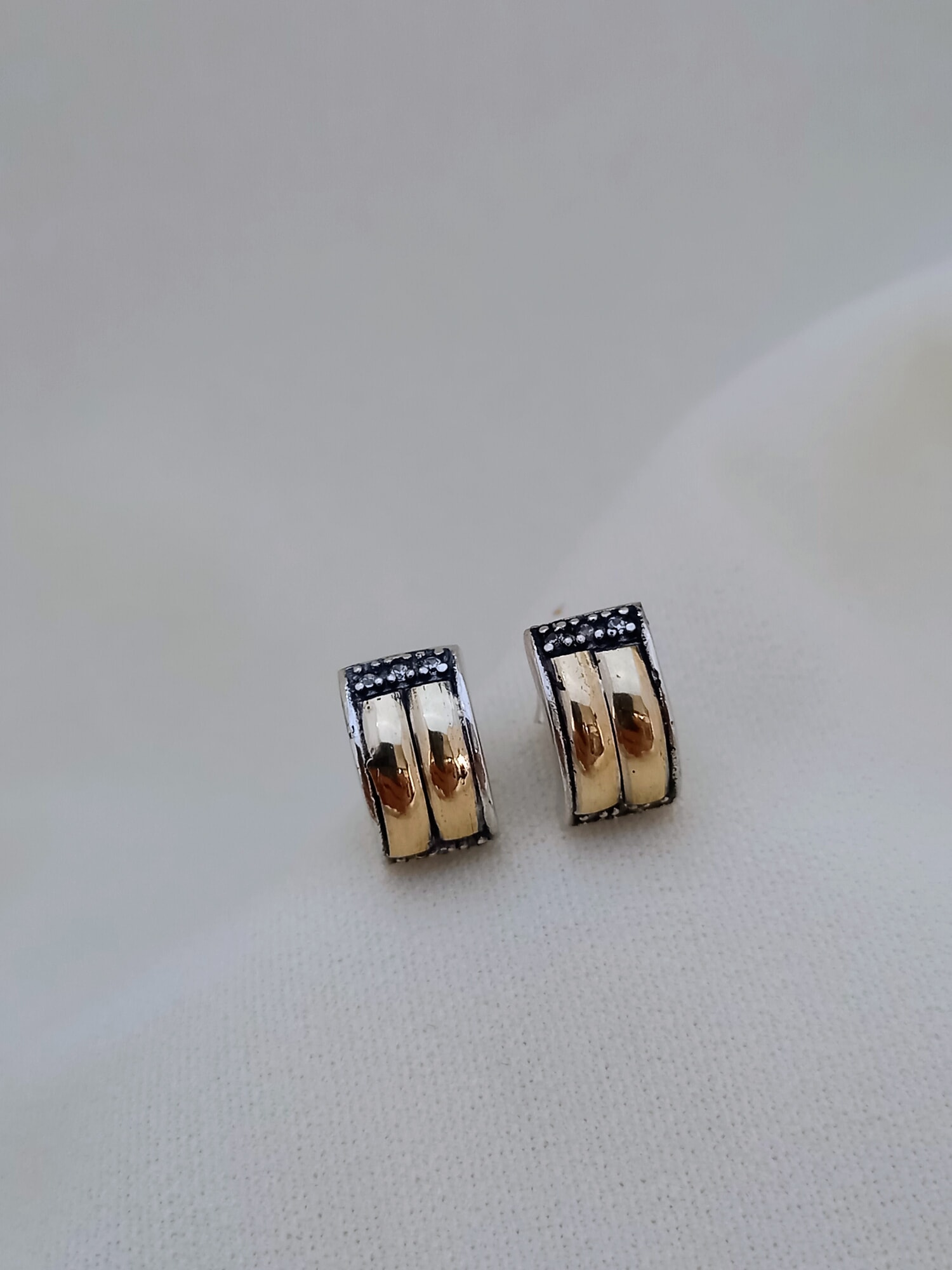 Caravanas Esencia brillo