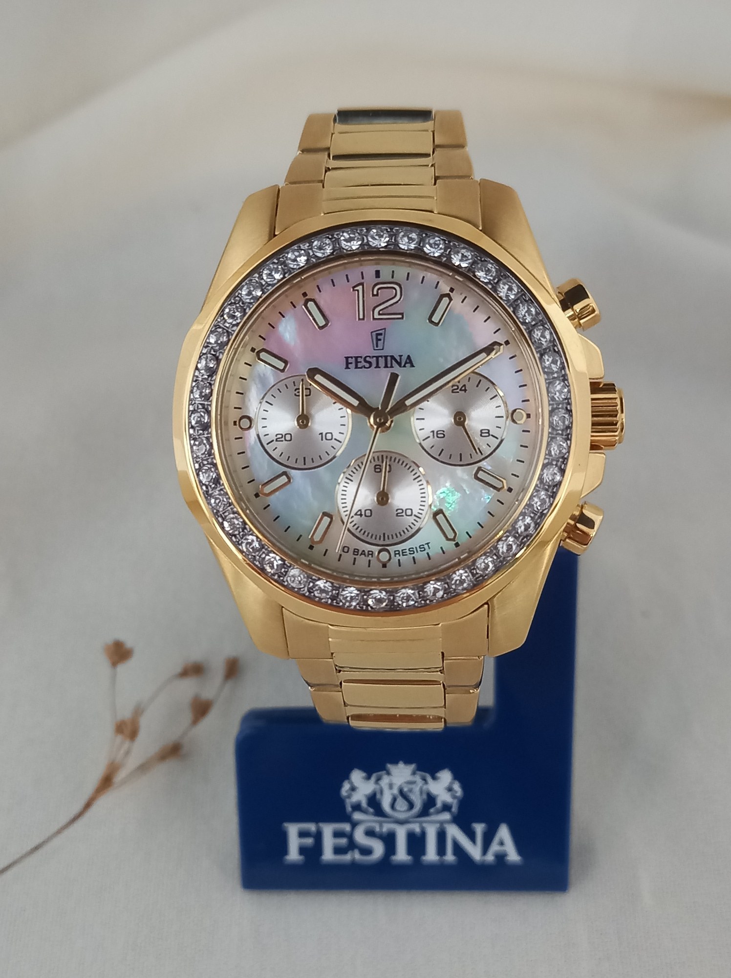 Festina Rainbow