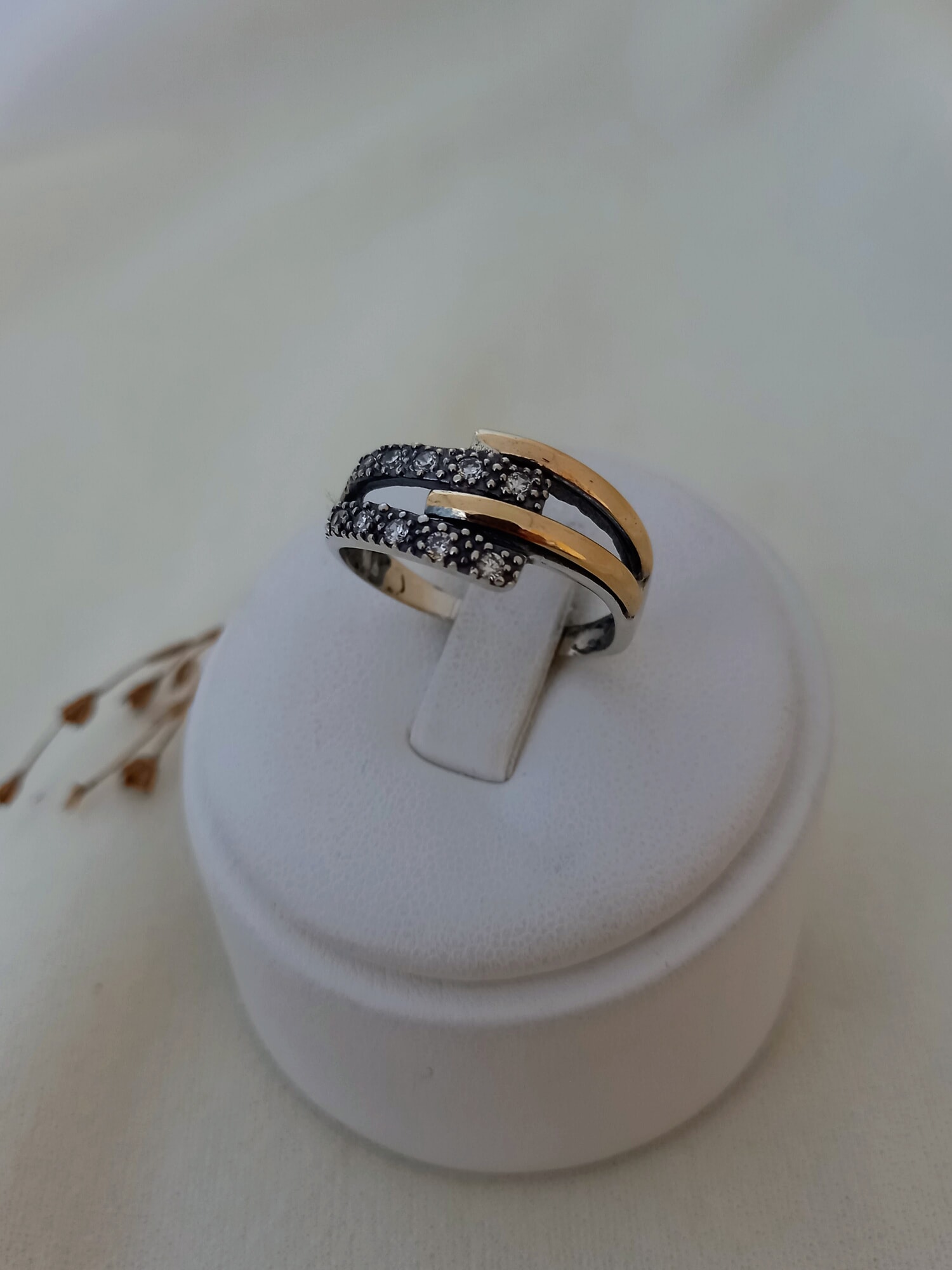 Anillo Enlace