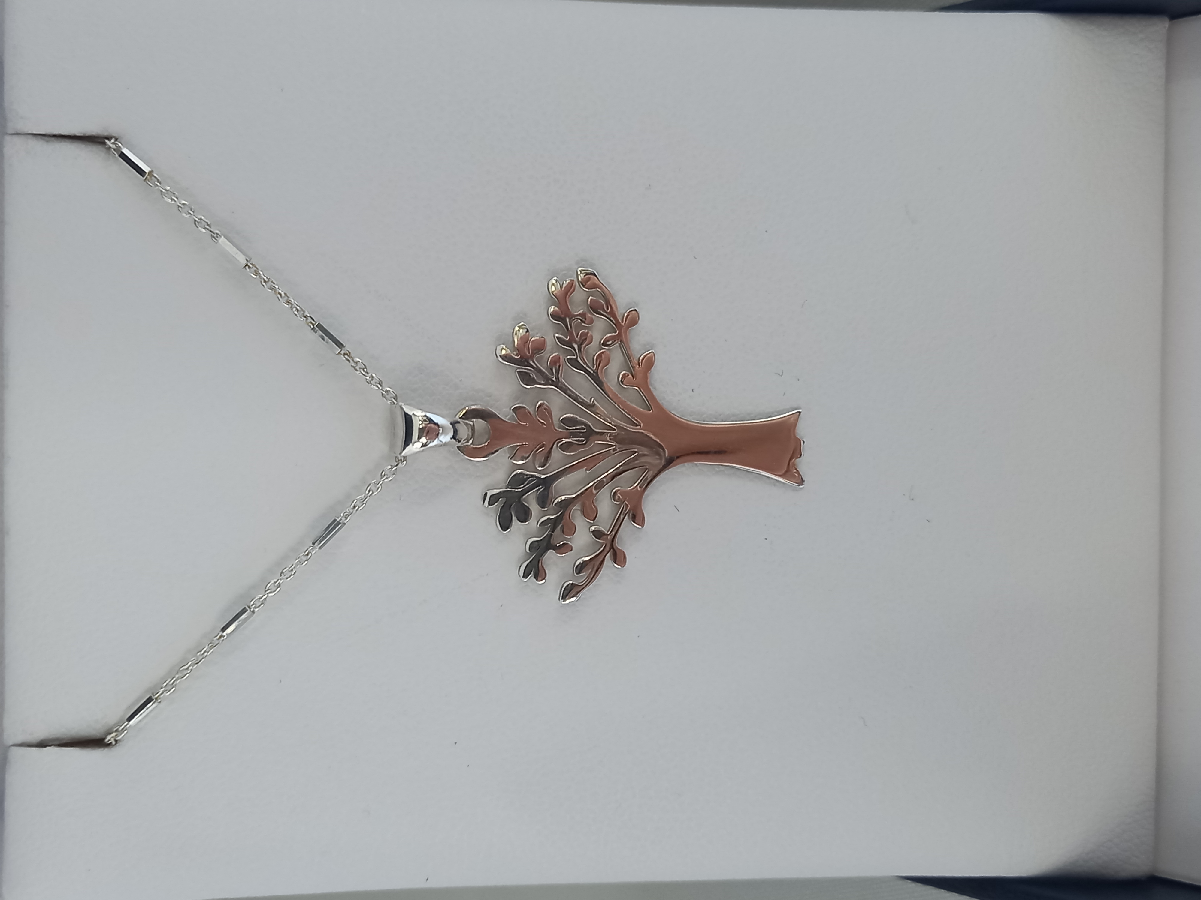 Conjunto Árbol abierto