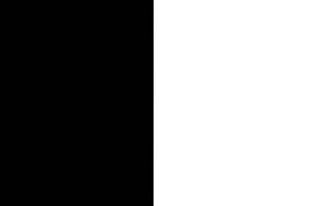 Negro con blanco