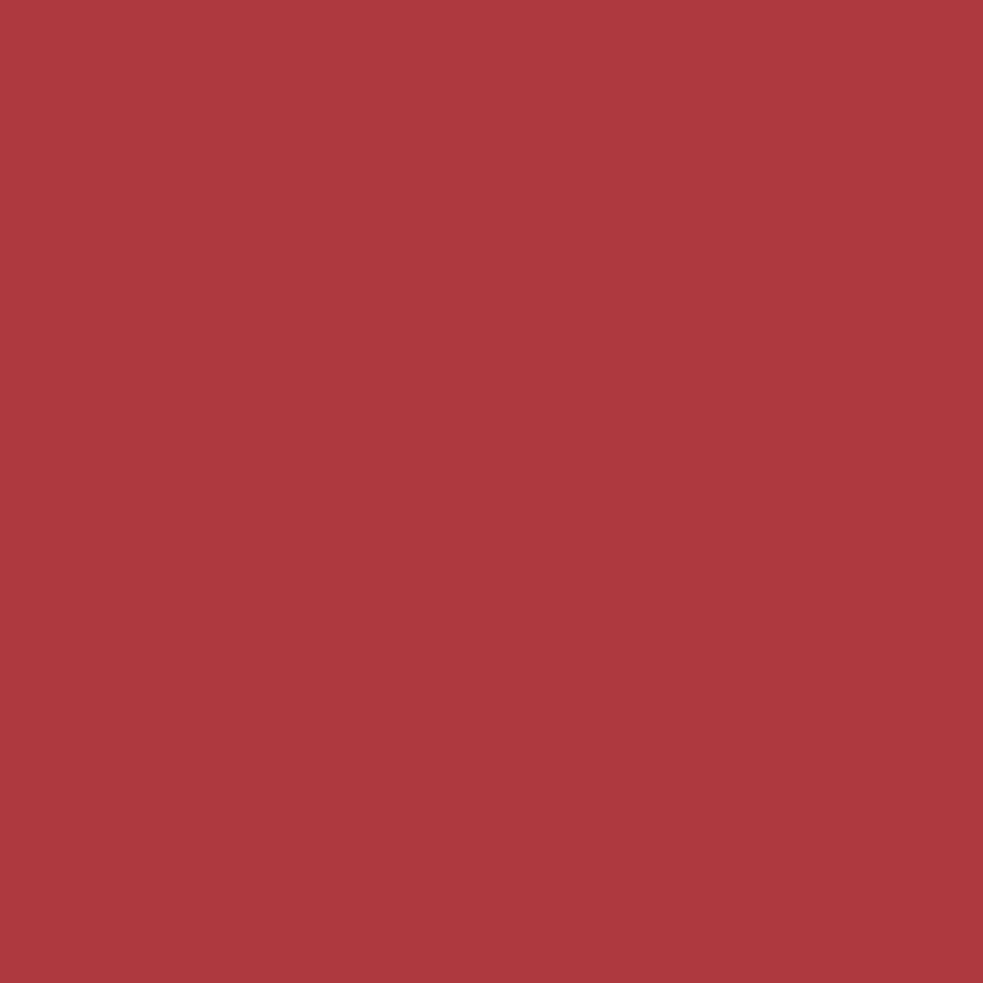 Rojo Rojo