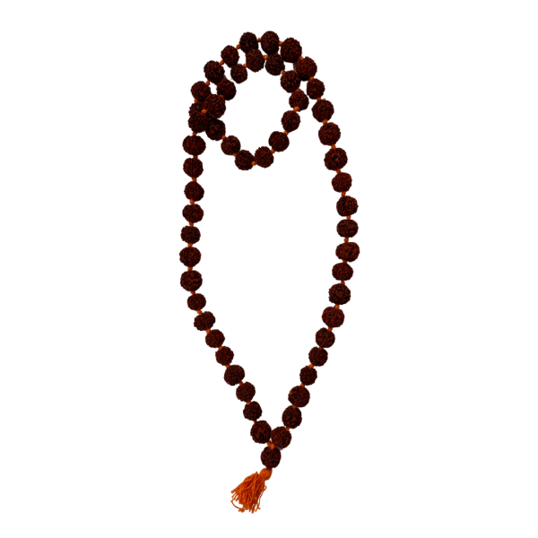 Japa Mala Rudraksha