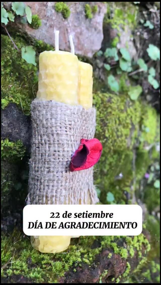 Imagen de posteo de Instagram