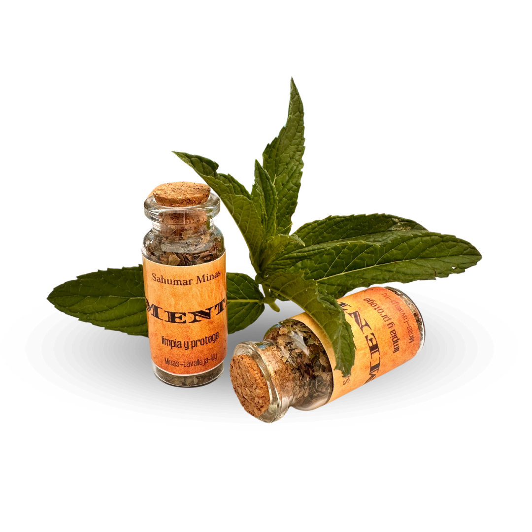 Menta