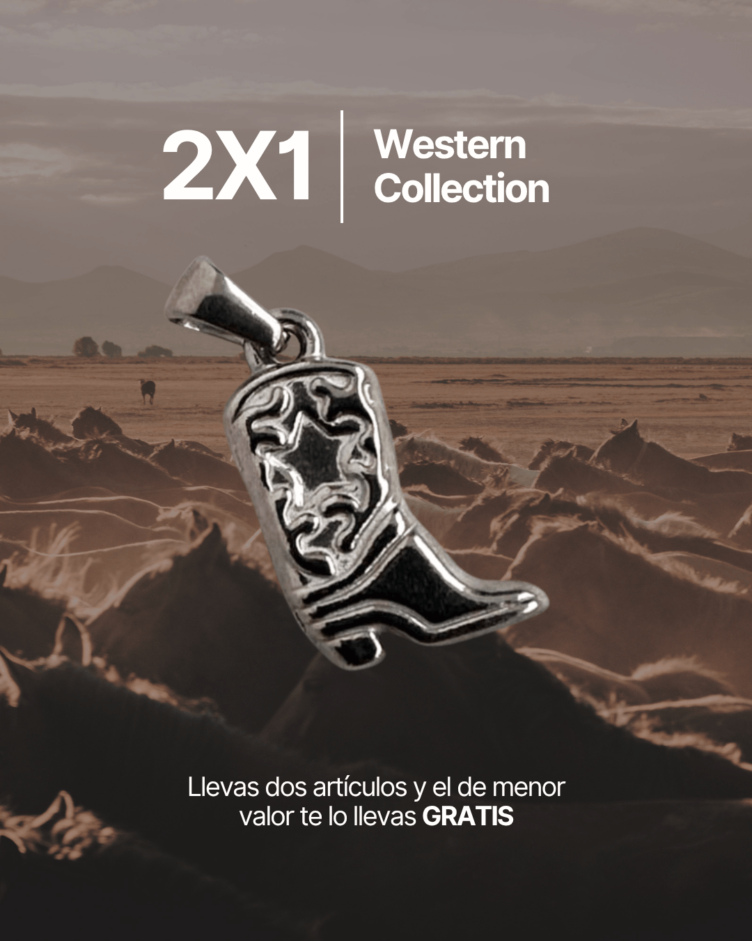 2X1