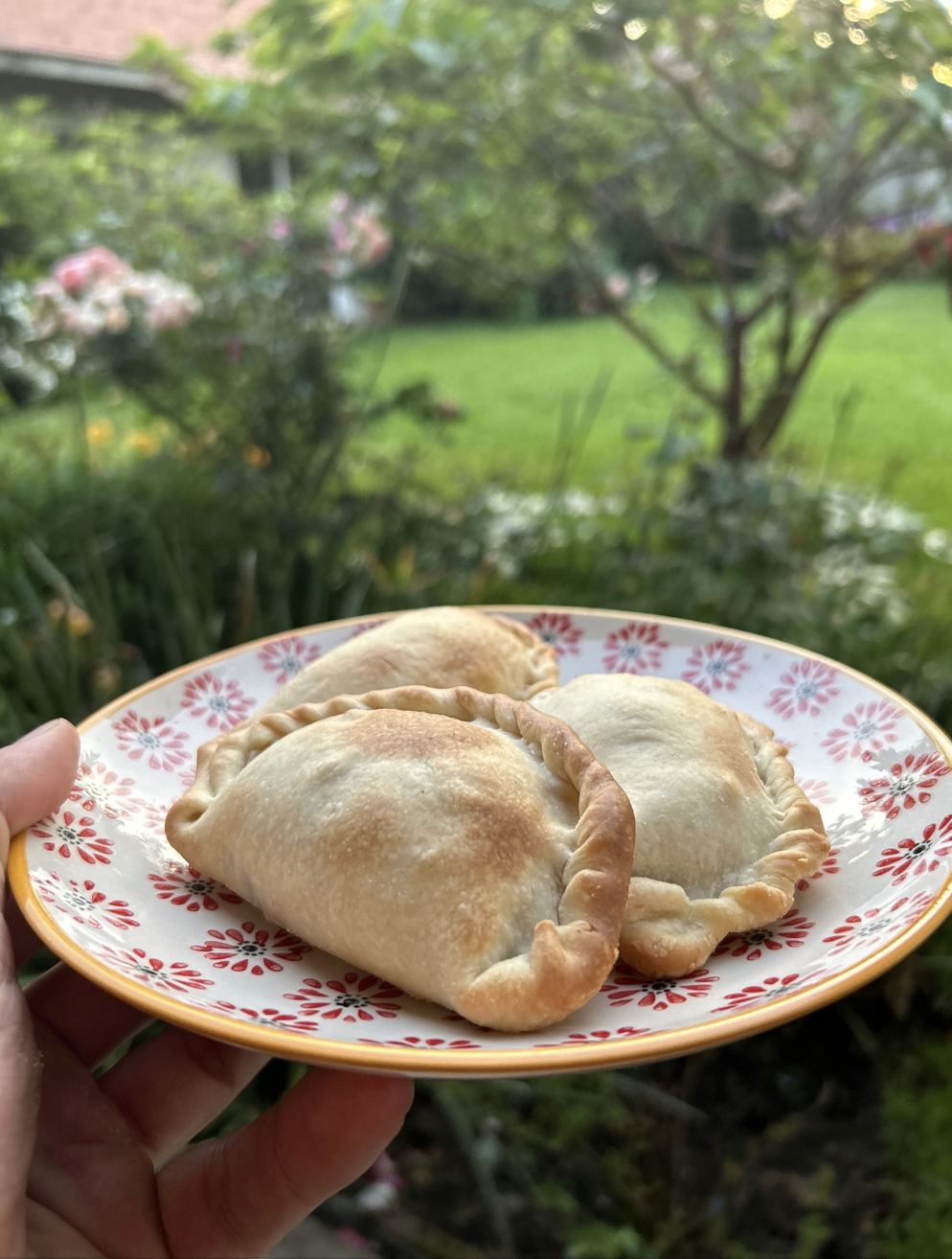 Empanadas de carne
