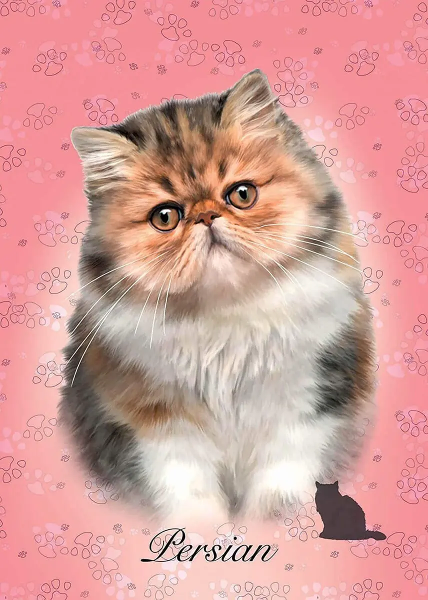 Puzzle 100 Piezas Gato Persian Rompecabezas Gatito Educa Tx