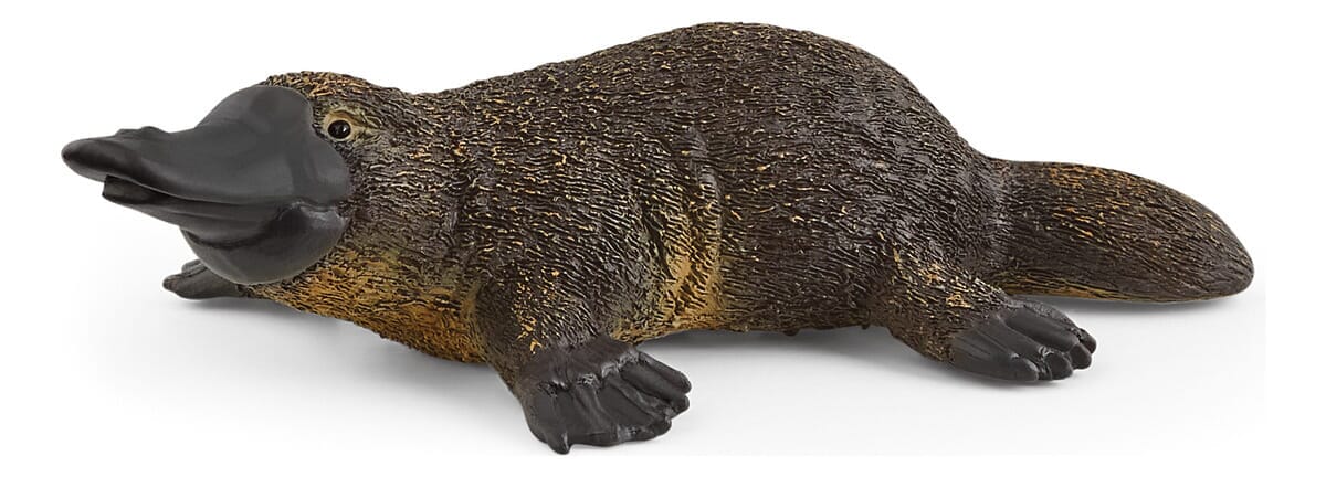 Figura Ornitorrinco Schleich Wild Life Salvaje Realista Trex