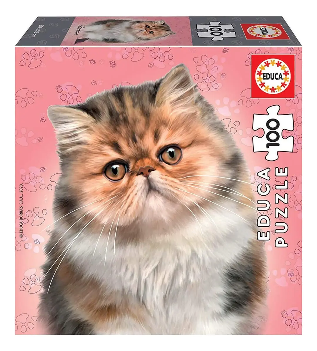 Puzzle 100 Piezas Gato Persian Rompecabezas Gatito Educa Tx