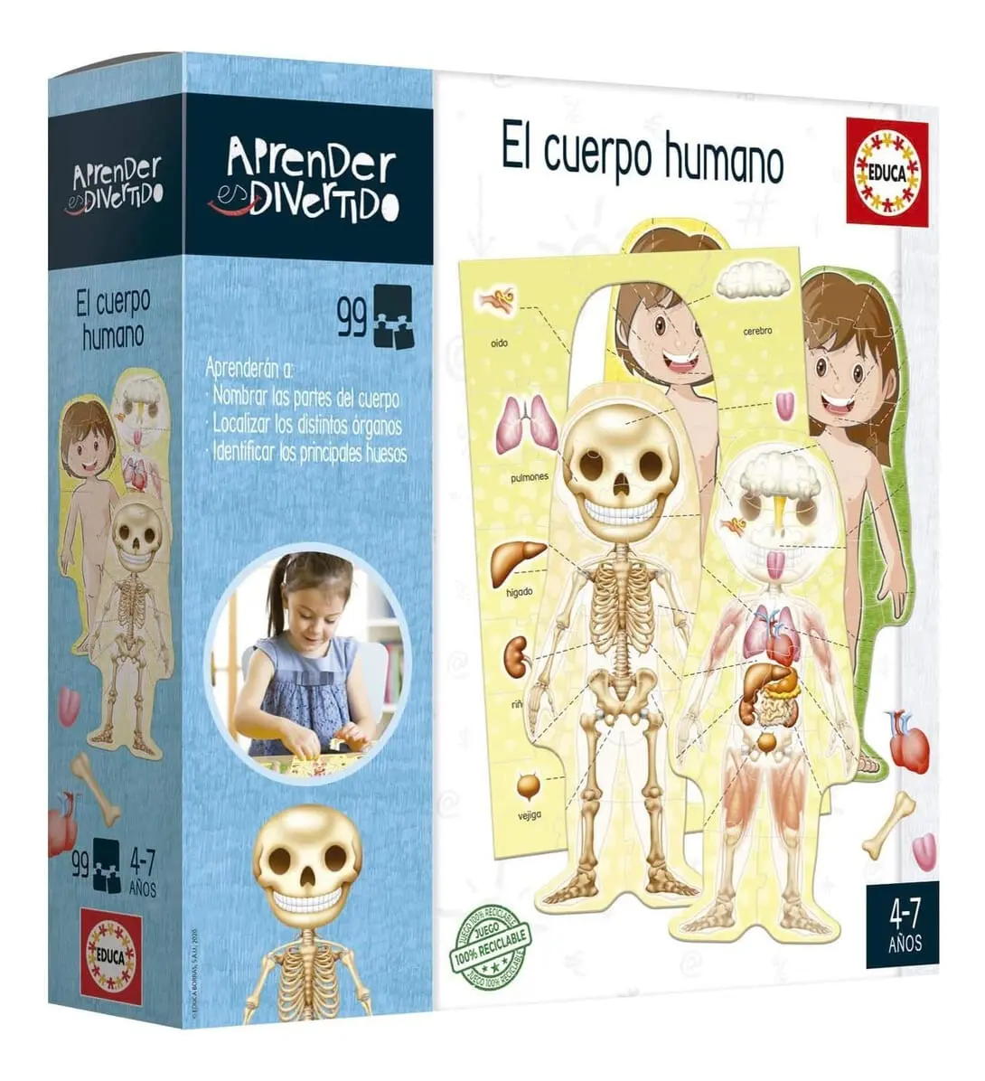 Puzzle Aprender El Cuerpo Humano Rompecabezas Educa Trex