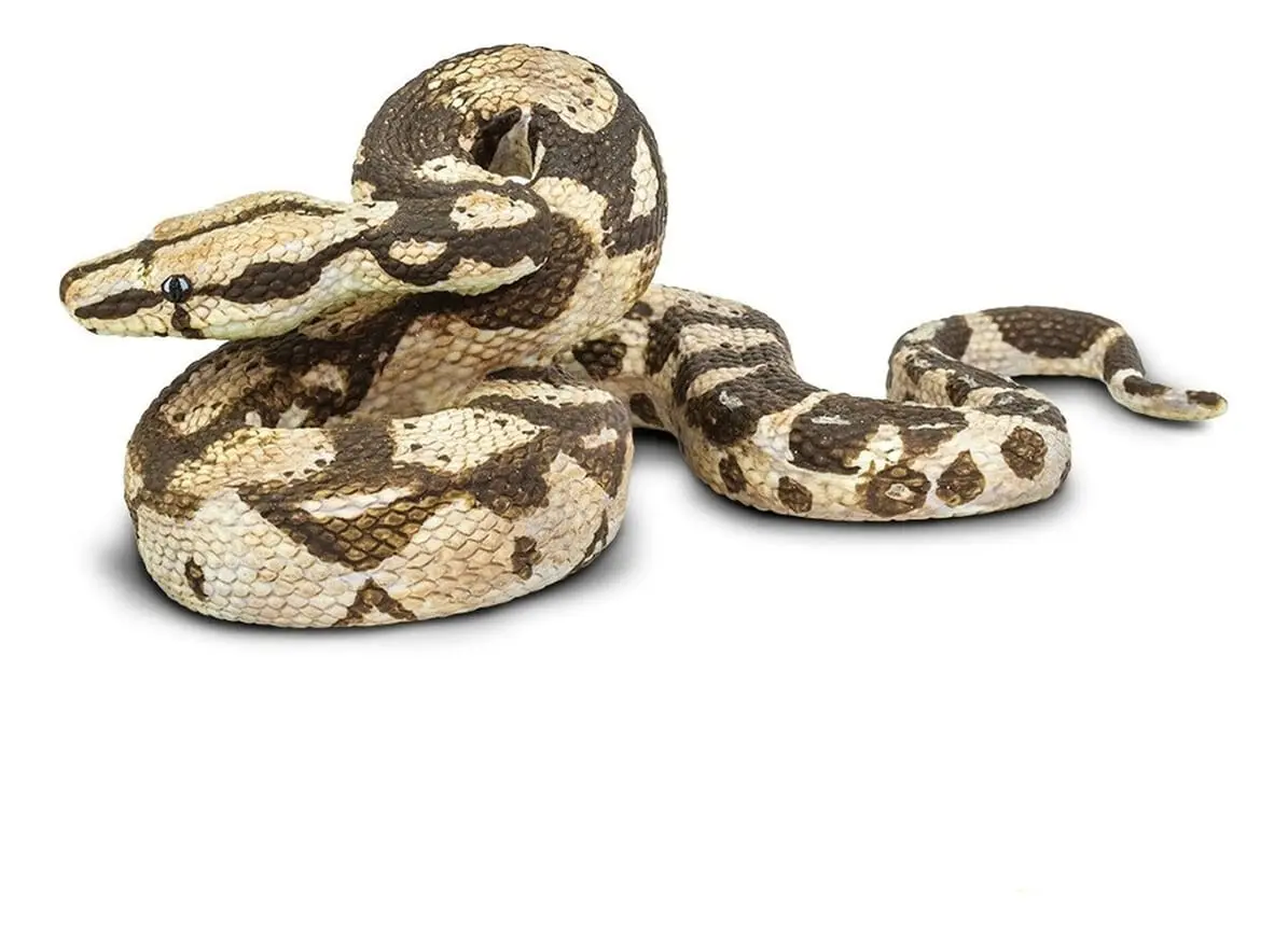 Serpiente Boa Constrictora Figura Safari Animal Realista Tx