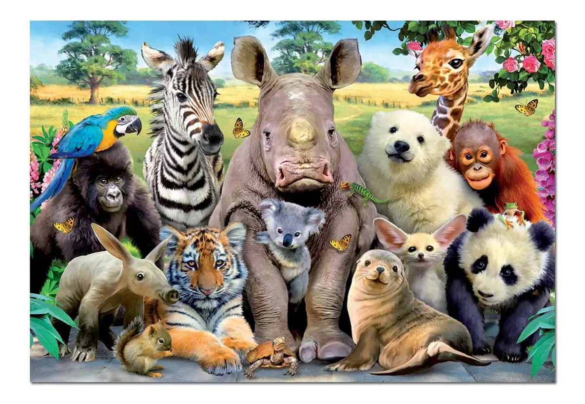 Puzzle Rompecabezas Educa 1000 Pcs Animales Posando Foto Tx