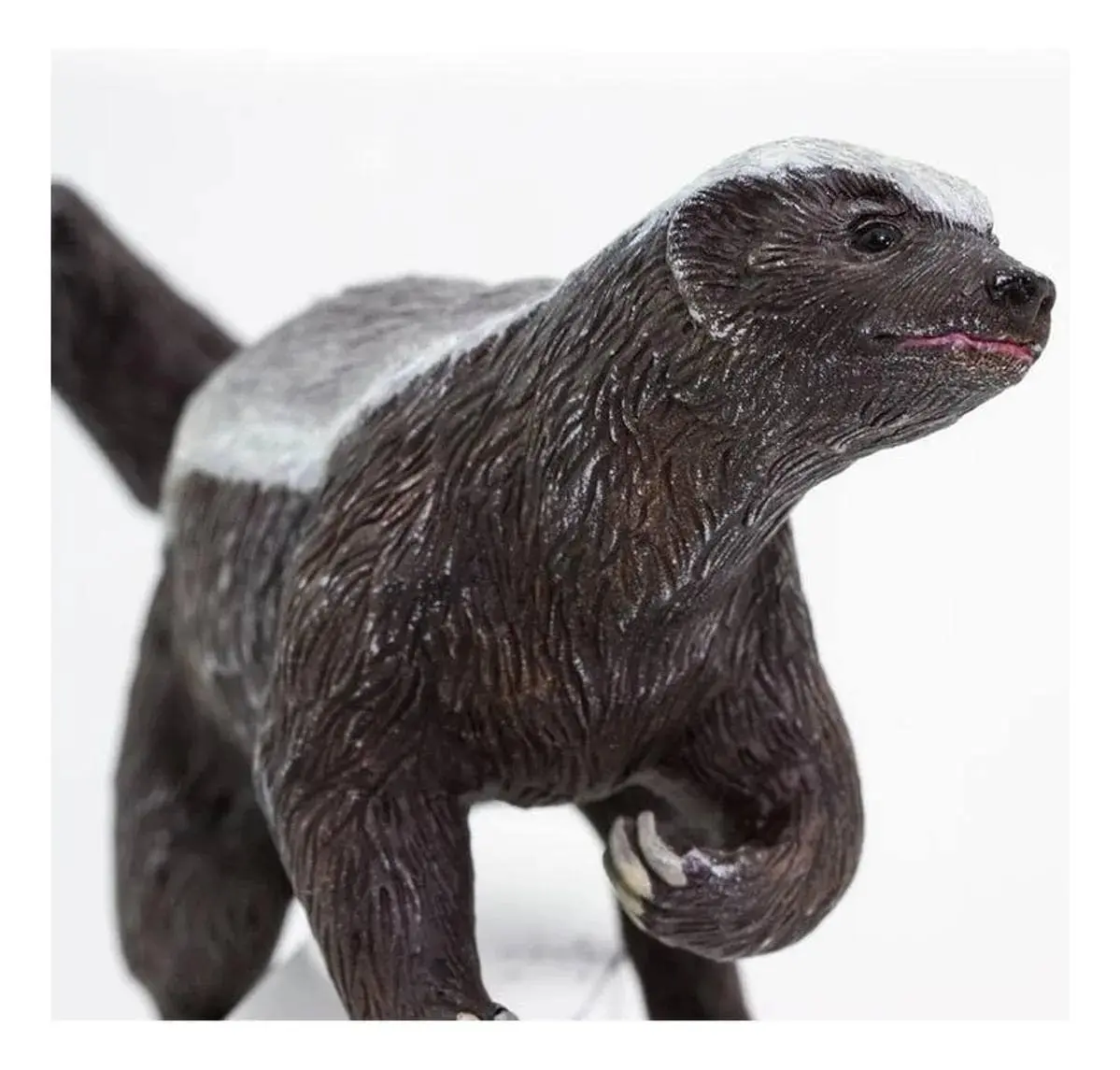 Figura Safari Tejon De Miel Juguete Muñeco Realista Niños Tx