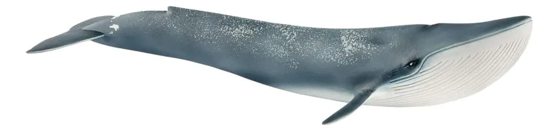 Figura Animal Marino Ballena Azul 14806 Schleich