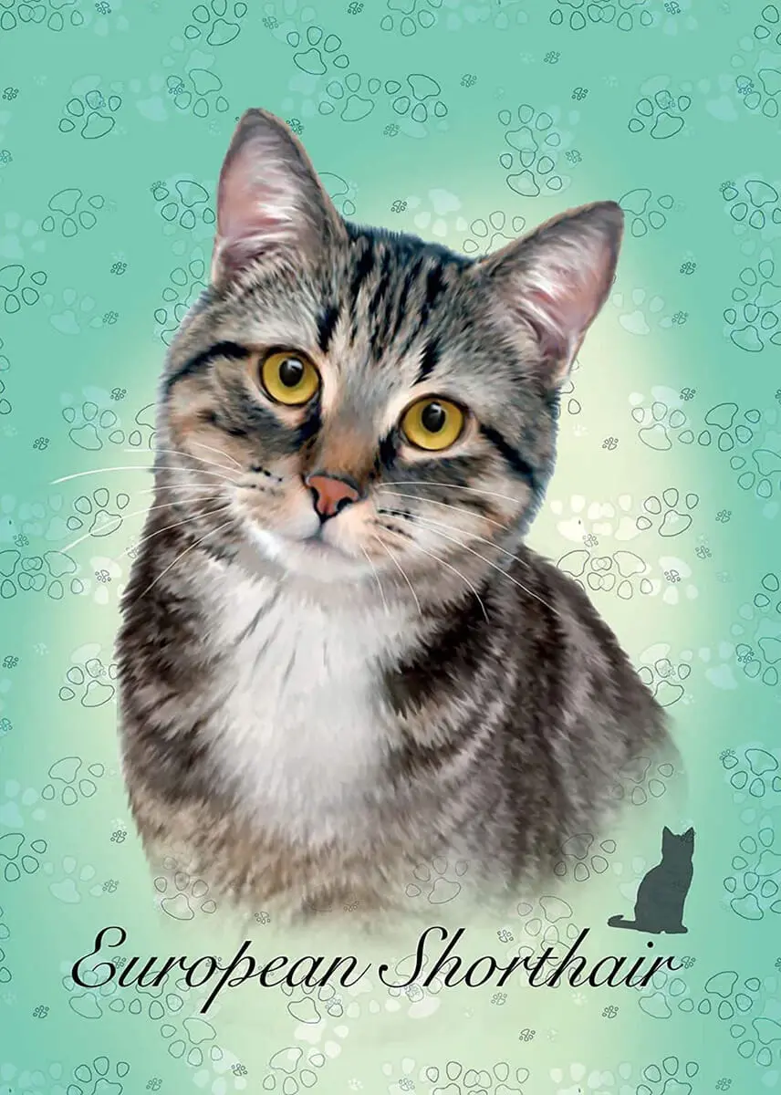 Puzzle 100 Piezas Gato Shorthair Rompecabezas Gatito Educa