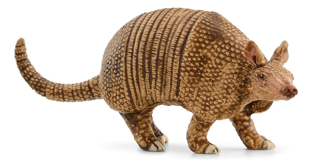 Figura Armadillo Mulita Schleich Coleccionable Muñeco Trex
