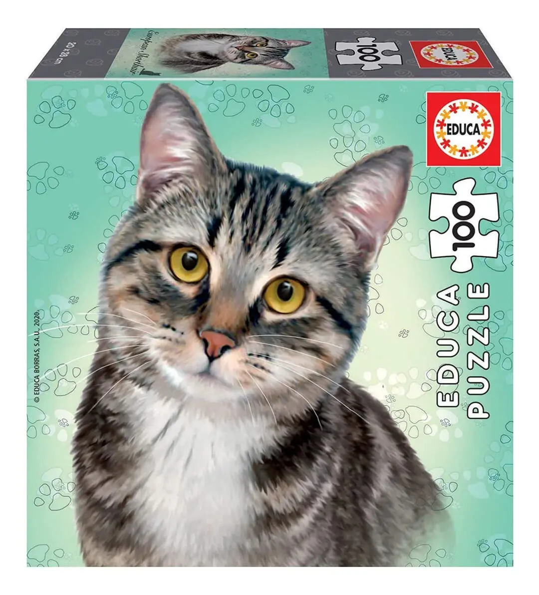 Puzzle 100 Piezas Gato Shorthair Rompecabezas Gatito Educa