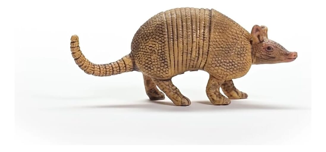Figura Armadillo Mulita Schleich Coleccionable Muñeco Trex