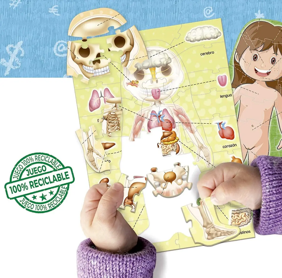 Puzzle Aprender El Cuerpo Humano Rompecabezas Educa Trex
