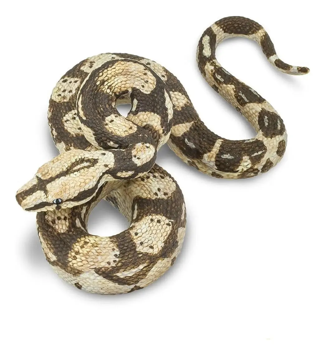 Serpiente Boa Constrictora Figura Safari Animal Realista Tx