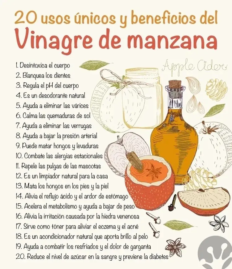 Promo X12 Botellas 500ml Vinagre Organico De Manzana Dn Trex