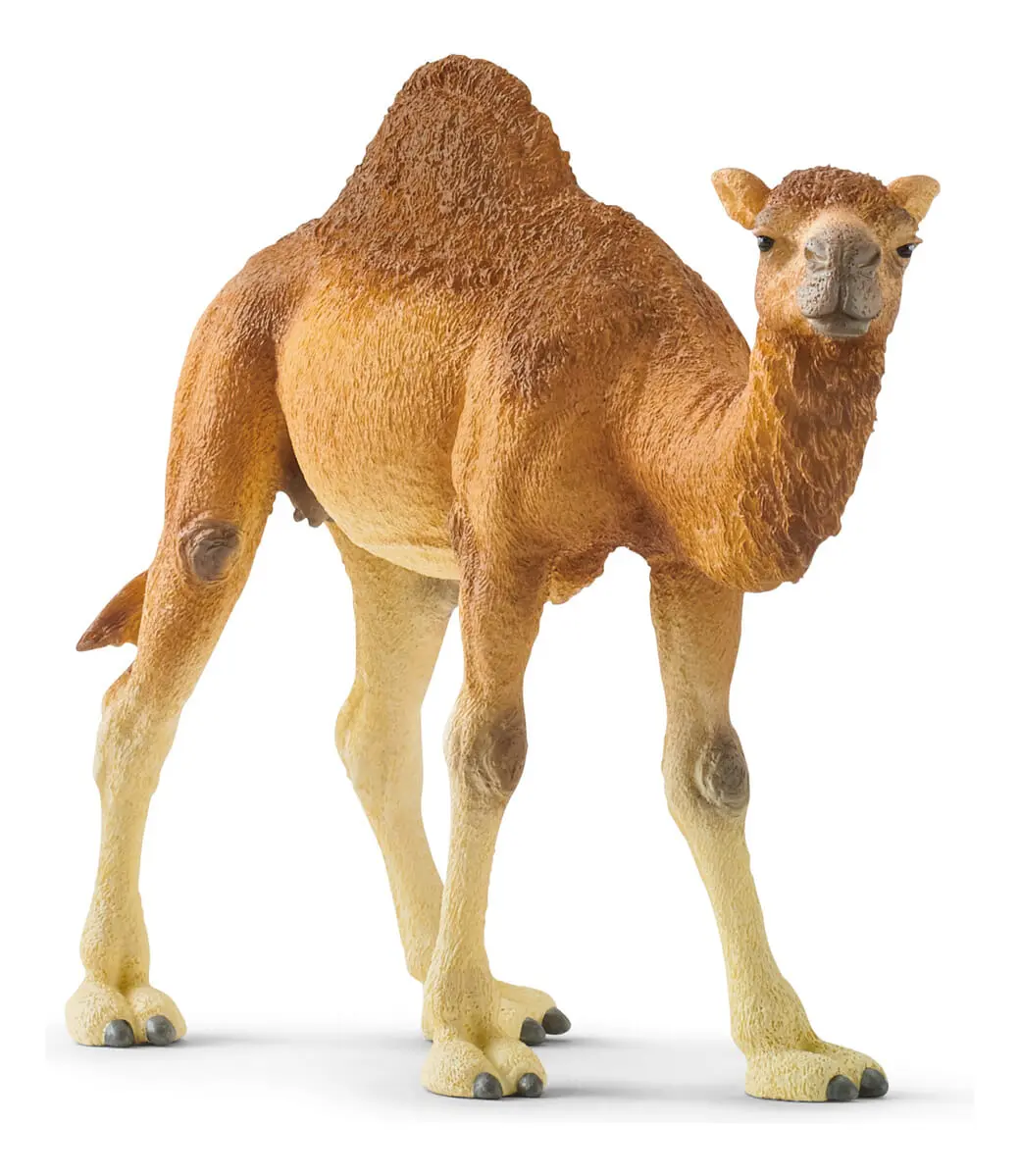 Figura Camello Realista Dromedario Desierto Schleich Trex