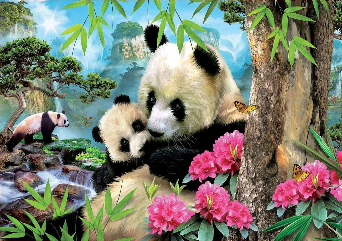 Puzzle Rompecabeza Educa Osos Panda Paisaje 1000 Piezas Tx