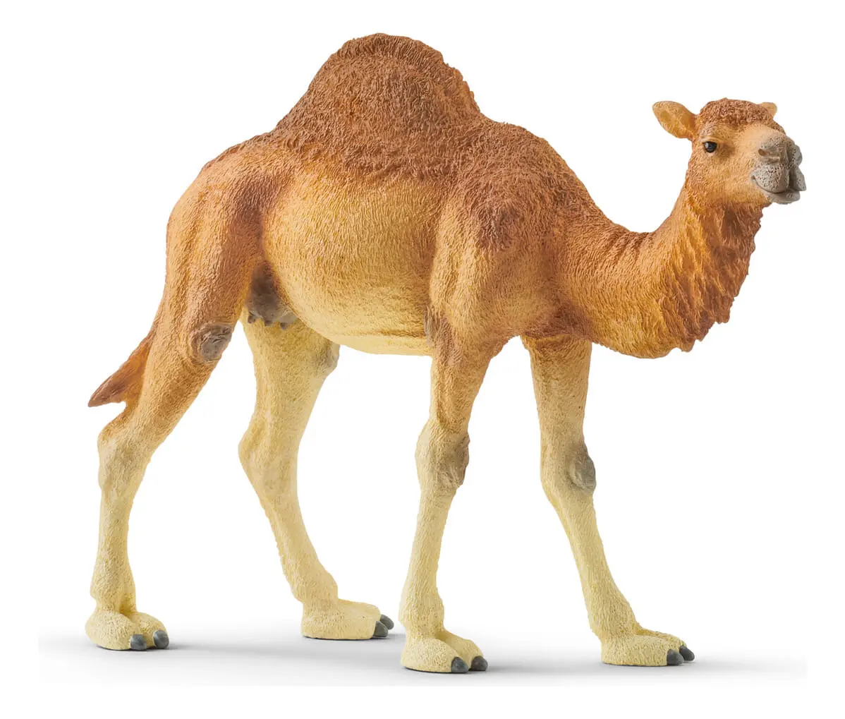 Figura Camello Realista Dromedario Desierto Schleich Trex